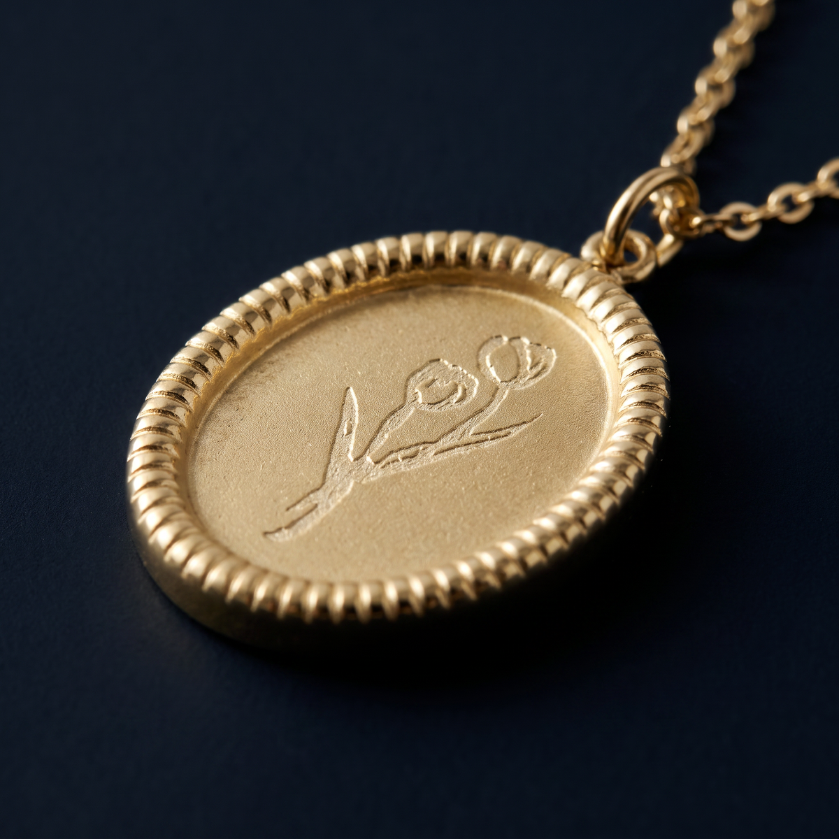 Collier pendentif à médaillon, motif en gros plan